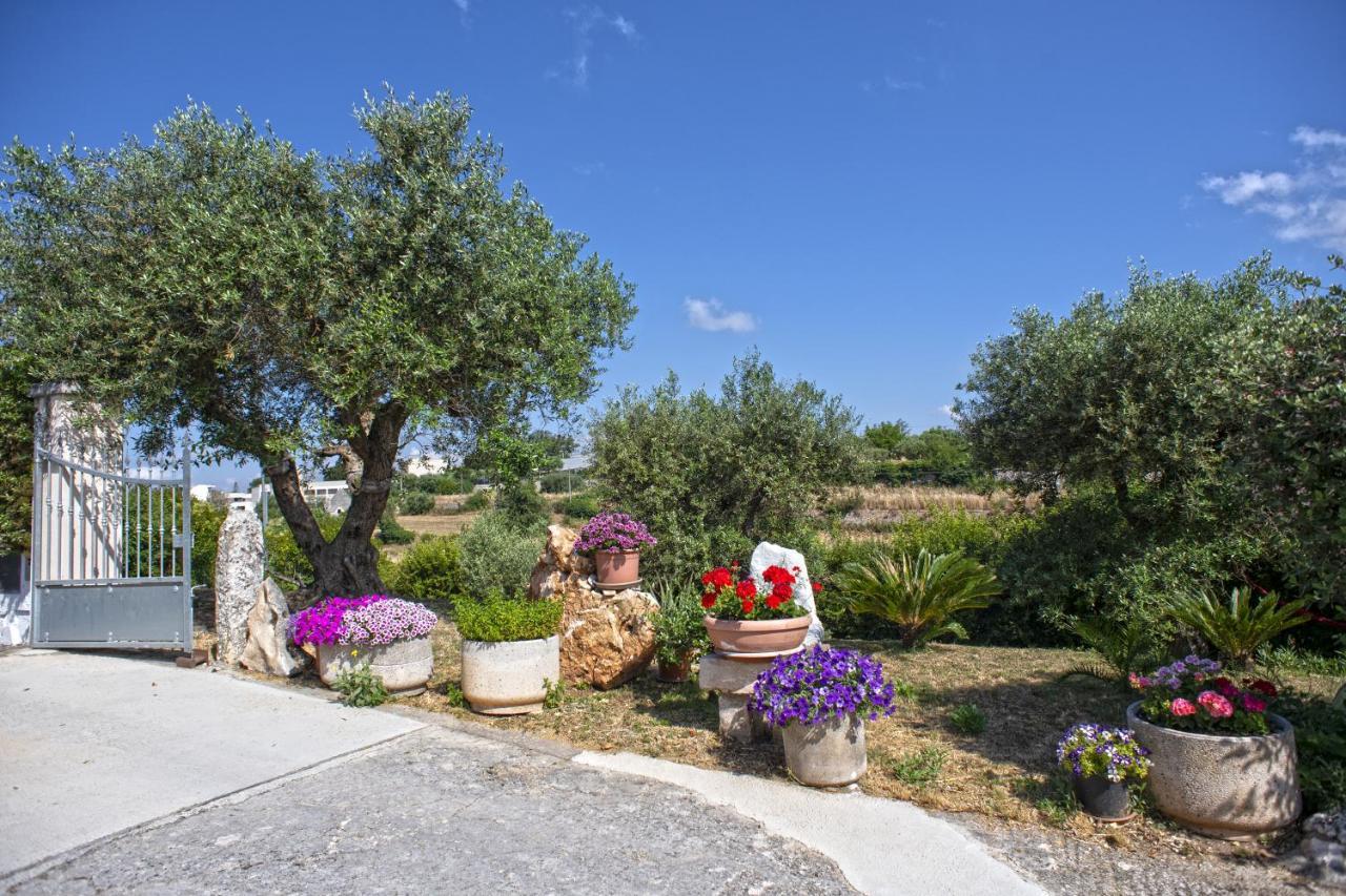 B&B Il Brigante Alberobello Dış mekan fotoğraf