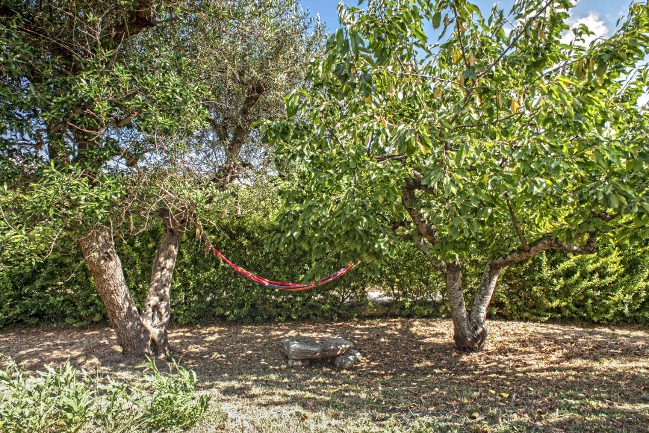 B&B Il Brigante Alberobello Dış mekan fotoğraf